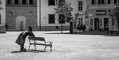_MG_9908.jpg