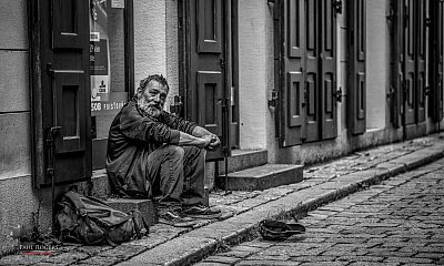 IMG_7284.jpg